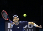 雷火电竞入驻-美网鏖战法网，穆雷刷新纪录的简单介绍