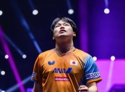 雷火电竞亚洲先驱-法国队完胜韩国队，张本智和刷新纪录