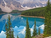 雷火电竞入驻-蛰醒联盟！黄蜂致命冷枪击溃雄鹿，乔治加冕关键先生