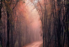 雷火电竞官网-包含回顾篮球经典时刻：传奇再现的词条